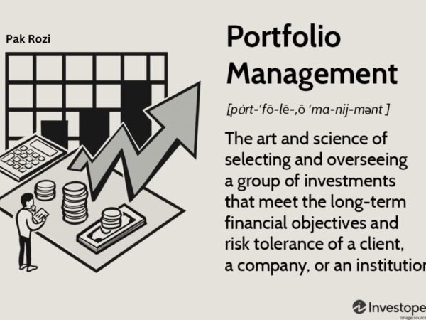 IT Portfolio